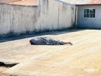 Marido traído mata o amante da esposa a facadas no Bairro Vila C 