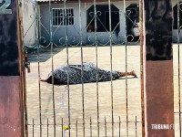 Marido traído mata o amante da esposa a facadas no Bairro Vila C 