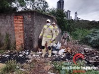 Homem reage contra o grupo CHOQUE e acaba morto em confronto na Favela do Monsenhor