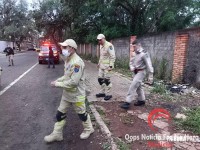 Homem reage contra o grupo CHOQUE e acaba morto em confronto na Favela do Monsenhor