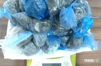 Policia de Puerto Iguazu estoura ponto de venda de maconha e cocaína e apreende menor e dinheiro do tráfico