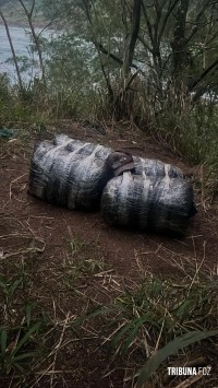 Policia Federal, PM e PC apreendem fardos de maconha nas margens do rio Paraná