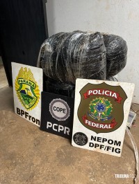 Policia Federal, PM e PC apreendem fardos de maconha nas margens do rio Paraná
