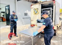 PM aposentado é assassinado e atropelado; Autor é preso em flagrante em Santa Helena