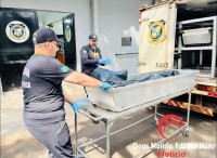PM aposentado é assassinado e atropelado; Autor é preso em flagrante em Santa Helena