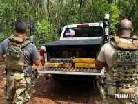 PF, PC e PM apreendem um veículo com 1.100 Kg de maconha em Santa Helena