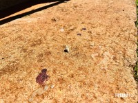 Mulher é baleada durante discussão entre vizinhos no Condomínio Angatuba