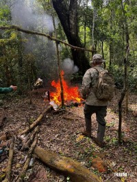 Policia Federal e ICMBIO realizam operação de combate a crimes ambientais no Parque Nacional do Iguaçu