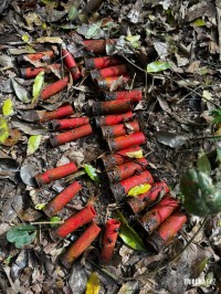 Policia Federal e ICMBIO realizam operação de combate a crimes ambientais no Parque Nacional do Iguaçu