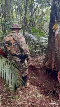 Policia Federal e ICMBIO realizam operação de combate a crimes ambientais no Parque Nacional do Iguaçu