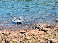Embarcação com três pessoas vira no Rio Paraná e duas morrem afogadas em Foz do Iguaçu