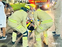 Homem fica gravemente ferido após ser atropelado por moto na BR-277