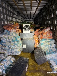 Policia Federal apreende 1.214,8 Kg de maconha escondida em carga de salgadinhos na BR-277