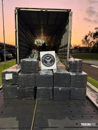 Policia Federal apreende 1.214,8 Kg de maconha escondida em carga de salgadinhos na BR-277