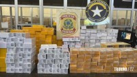 Caminhão com frangos congelados escondia carga milionária de 1500 celulares e notebooks