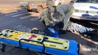 Motociclista fica ferido após acidente seguido de atropelamento no bairro Três Lagoas