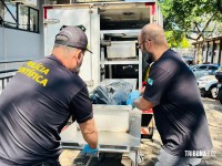 Moto parte ao meio e homem morre após acidente de trânsito em Santa Helena