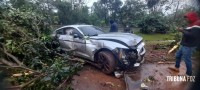 Ford Mustang sai da pista e colide contra arvores em Hernandárias