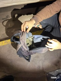 Fiscalização na Ponte da Amizade flagra transporte ilegal de animais exóticos