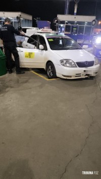 Fiscalização na Ponte da Amizade flagra transporte ilegal de animais exóticos