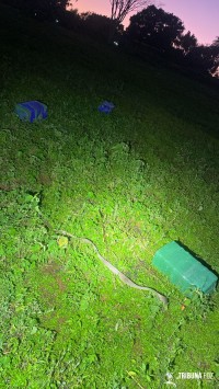 PF e PM apreende cigarros e drogas na região de fronteira em Foz do Iguaçu