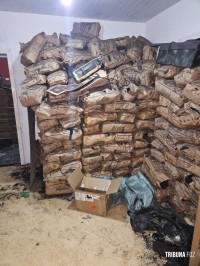 PF, PM e RF apreende 400 caixas de cigarros e 8 toneladas de carvão contrabandeados em Foz do Iguaçu
