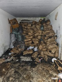 PF, PM e RF apreende 400 caixas de cigarros e 8 toneladas de carvão contrabandeados em Foz do Iguaçu
