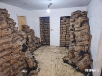 PF, PM e RF apreende 400 caixas de cigarros e 8 toneladas de carvão contrabandeados em Foz do Iguaçu