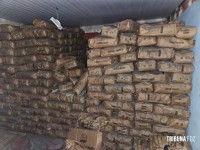 PF, PM e RF apreende 400 caixas de cigarros e 8 toneladas de carvão contrabandeados em Foz do Iguaçu