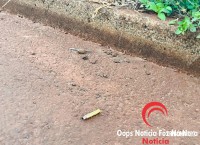 Tiroteio intenso em plena luz do dia espalha pânico entre moradores do Bairro Sol de Maio