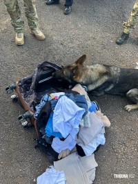 Policia Federal prende passageira com 4,7 Kg de haxixe em ônibus interestadual