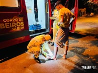Homem é atacado por cachorro e recusa atendimento médico por estar usando tornozeleira eletrônica