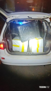 PF e PM apreende cigarros eletrônicos e ave silvestre na região do Marcos das Três Fronteiras