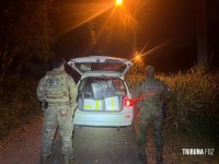 PF e PM apreende cigarros eletrônicos e ave silvestre na região do Marcos das Três Fronteiras