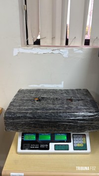 Ação conjunta PF e PM apreende maconha às margens do Rio Paraná em Foz do Iguaçu