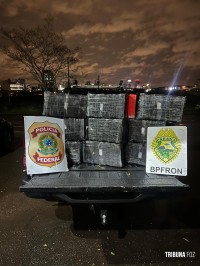 BPFRON e NEPOM apreendem 149,8 quilos de maconha em Foz do Iguaçu