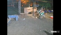 Premio principal "Porco" de um torneio beneficente é furtado em Hernandárias no Paraguai