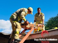 Idoso de 75 anos sofre mal súbito e cai sobre telhado enquanto fazia limpeza no Jardim Santa Rita