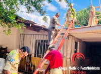 Idoso de 75 anos sofre mal súbito e cai sobre telhado enquanto fazia limpeza no Jardim Santa Rita