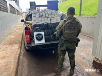FICCO/PR apreende 313,3 Kg de maconha em um depósito em Foz do Iguaçu