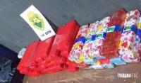 PM apreende quase 50 Kg de maconha na Rodoviária de Foz do Iguaçu