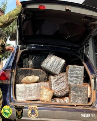 PM e PF apreendem mais de 1200 Kg de maconha e um fuzil na BR-277 em Santa Tereza do Oeste