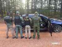 PM e PF apreendem mais de 1200 Kg de maconha e um fuzil na BR-277 em Santa Tereza do Oeste