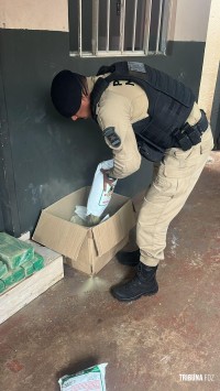 Militares da ROCAM apreende maconha oculto em erva de terere na Vila Portes