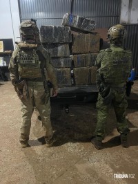 Policia Federal e a Policia Militar apreendem 287,5 quilos de maconha no Rio Paraná, em Foz do Iguaçu