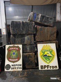 Policia Federal e a Policia Militar apreendem 287,5 quilos de maconha no Rio Paraná, em Foz do Iguaçu
