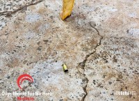 Homem é atingido por tiro na cabeça em frente à residência no Jardim Três Pinheiros