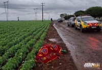 Idoso morre atropelado no trecho que liga Vera Cruz do Oeste a São Pedro do Iguaçu