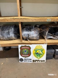 PF e PM apreendem 77,8 Kg de maconha às margens do Rio Paraná na "favela do Monsenhor"