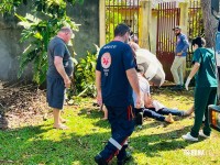Siate socorre homem que caiu de uma árvore de seis metros no Jardim São Roque